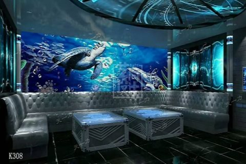 周口小时场ktv计时技巧-川汇区ktv预定